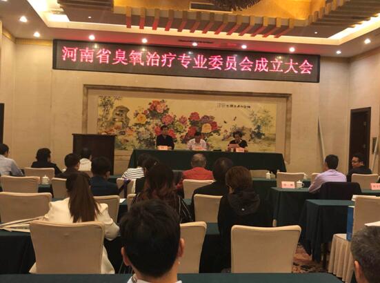 德國(guó)赫美斯臭氧治療儀